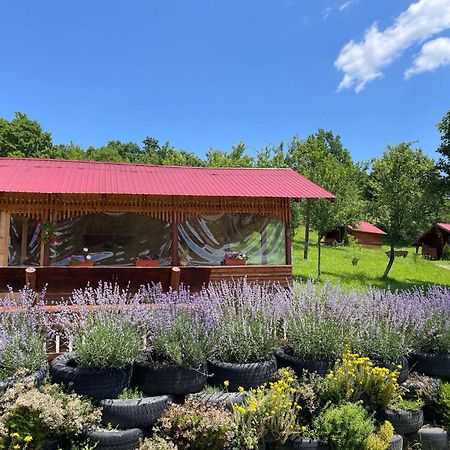 La 3 stejari, Călimănești Hotel Salatrucel Exterior foto