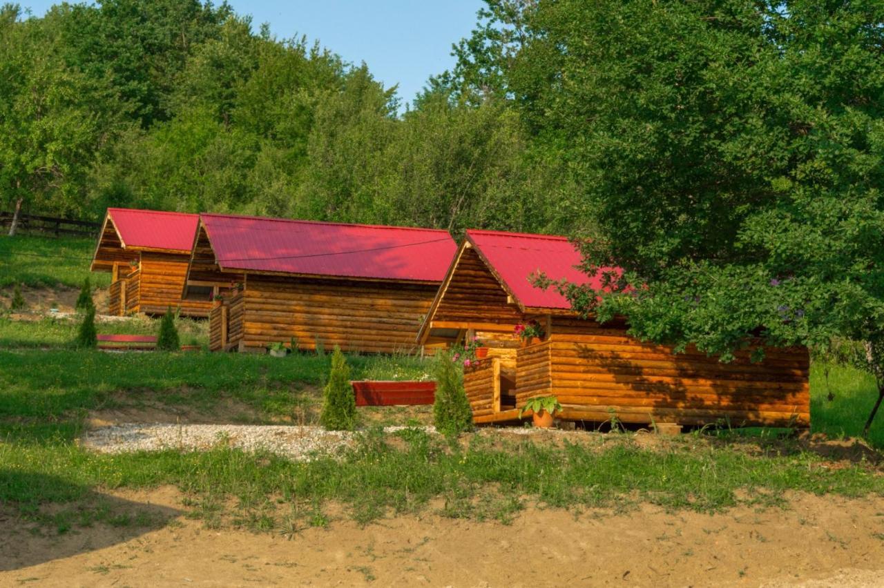 La 3 stejari, Călimănești Hotel Salatrucel Exterior foto