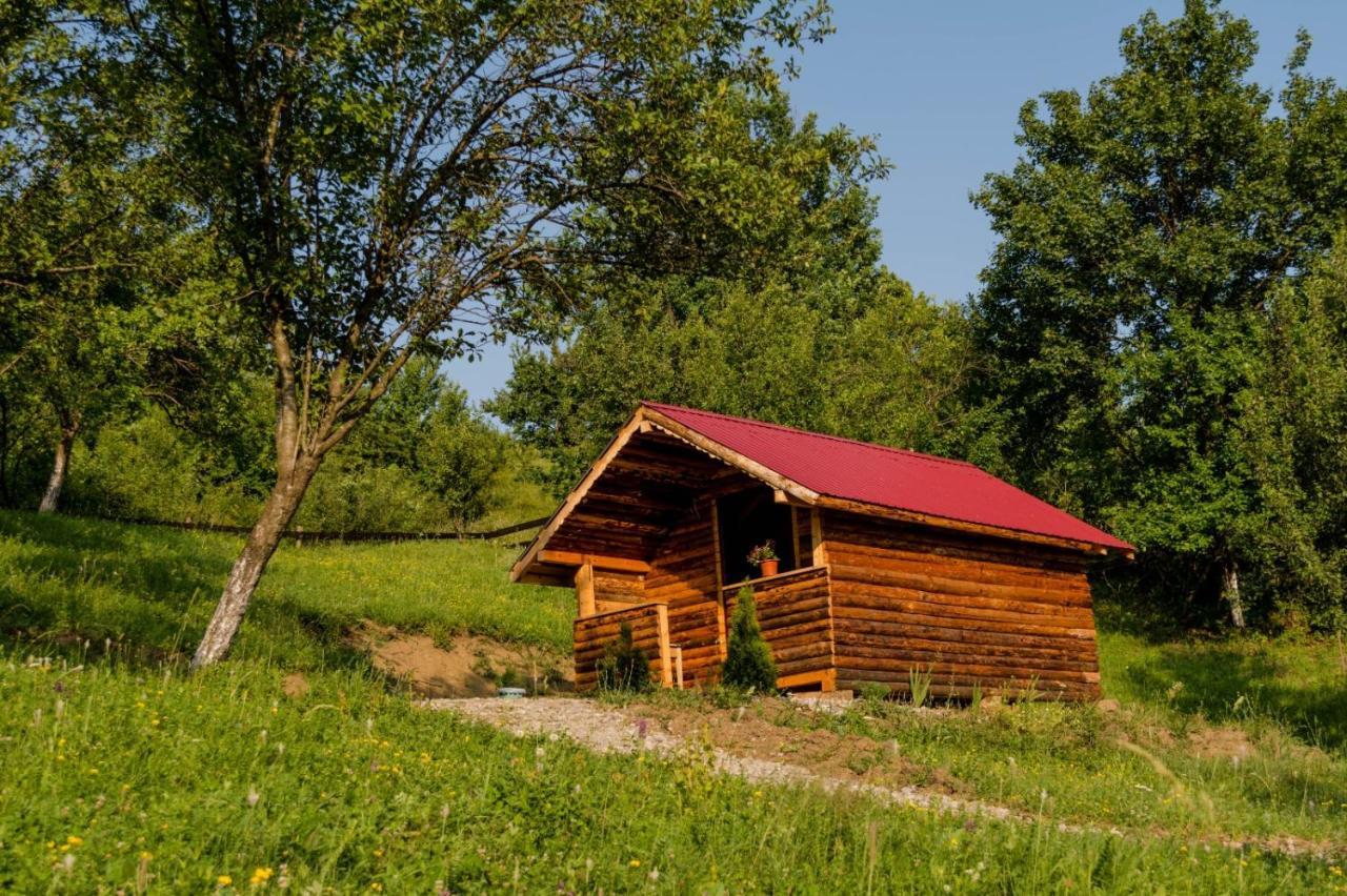 La 3 stejari, Călimănești Hotel Salatrucel Exterior foto