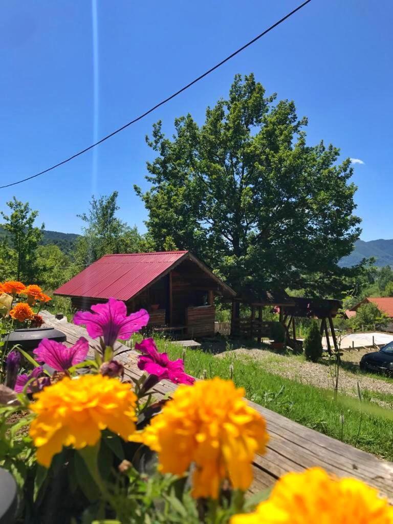 La 3 stejari, Călimănești Hotel Salatrucel Exterior foto