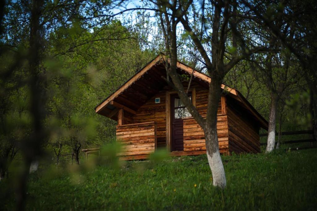 La 3 stejari, Călimănești Hotel Salatrucel Exterior foto