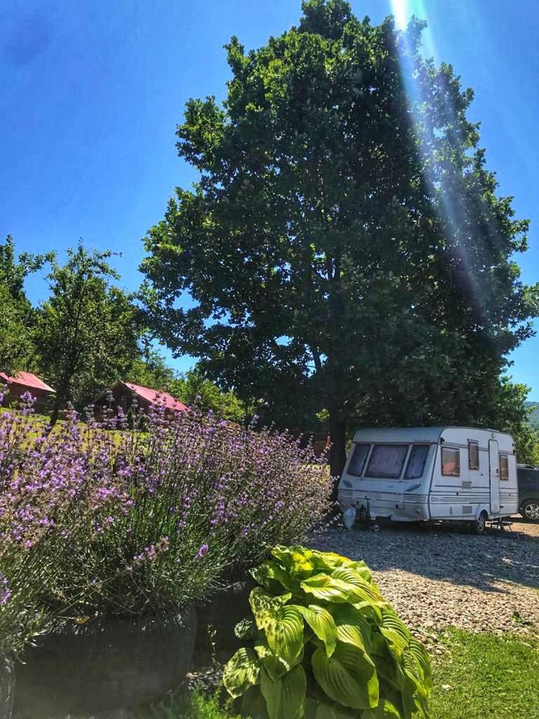 La 3 stejari, Călimănești Hotel Salatrucel Exterior foto