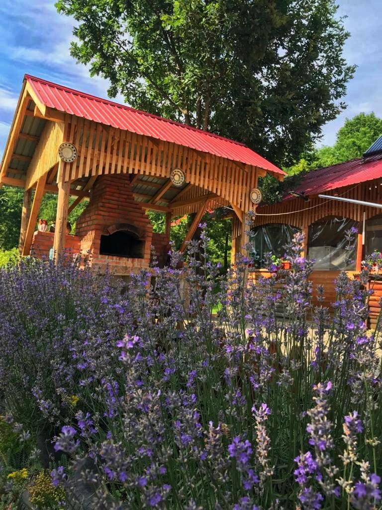 La 3 stejari, Călimănești Hotel Salatrucel Exterior foto